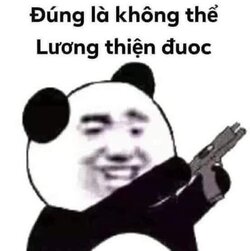 119606177_165839231818464_8612973224820419766_n_2.jpg