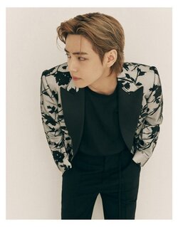 V-Bts-5.jpg