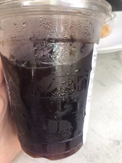 38095C55-50BB-45DE-9517-B5E9B2CB63FE.jpeg