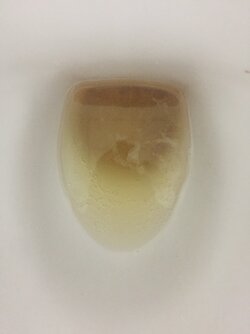 6678ED49-DE47-47C3-B44B-B7ADF3D6D174.jpeg
