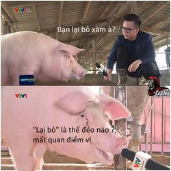 409732ac437a8b3b474267cd236baa68lon-duoc-vtv-phong-van-lan-dau-len-tivi-gigapixel.jpg