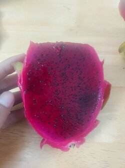 20220128_204114.jpg