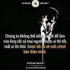 tải xuống (6).jpg