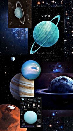 BA5765AF-3E5C-43DE-BCA6-6C497CC881F7.jpeg