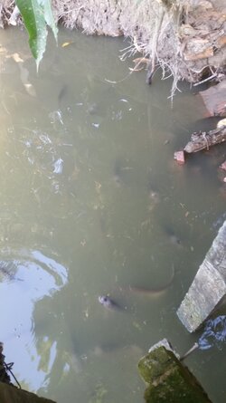 20220131_170837.jpg