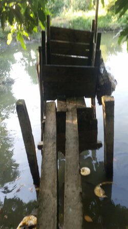 20220131_170759.jpg