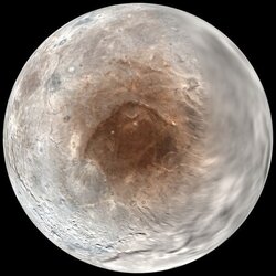 09269E09-EB8D-4BCA-843F-06644E16517C.jpeg