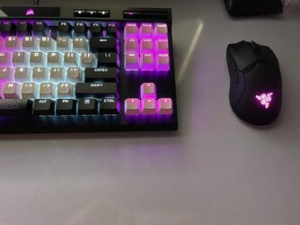 chuột máy tính2.jpg