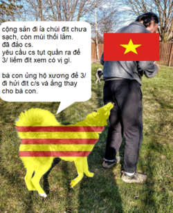 TROLL 3 SOC (2).png
