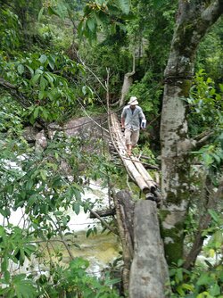 IMG_20210617_081902.jpg