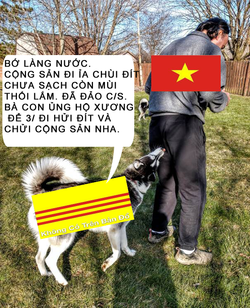 TROLL 3 SOC (3).png