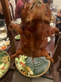 IMG_20220129_130648.jpg