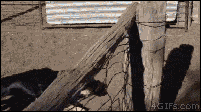 G1Uw76g.gif