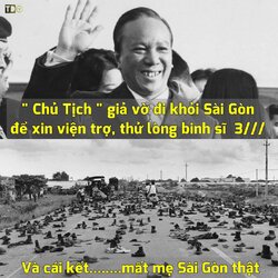 TROLL 3 SOC (29).jpg