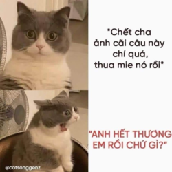 1645953663956.png
