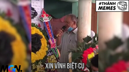 thanh-memes-xin-vinh-biet-cu-hot-trend-tren-tiktok-la-meme-gi-031428.jpg