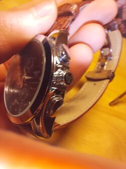 20220311_231534.jpg