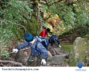 at_nhung-vat-dung-khong-the-thieu-khi-leo-nui-fansipan_2f874dc9897082dc825b7ac31909d361.jpg at_nhung-vat-dung-khong-the-thieu-khi-leo-nui-fansipan_2f874dc9897082dc825b7ac31909d361.jpg