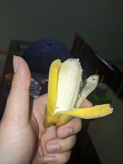 IMG_20220107_110515.jpg