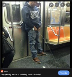 2022-03-16 04_50_50-piss newyork city - Google Tìm kiếm - Cốc Cốc.jpg 2022-03-16 04_50_50-piss newyork city - Google Tìm kiếm - Cốc Cốc.jpg