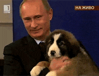 200w (1).gif