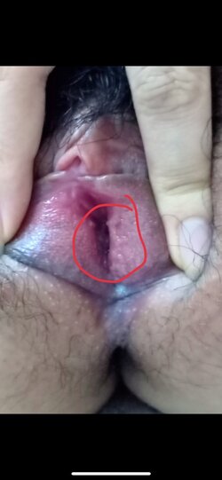 2B9B02BB-56C9-4B9E-BE67-202A7BAA8511.jpeg