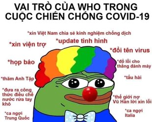 WHO's role.jpg