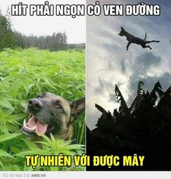 84421106-9A67-4E69-96B1-FB6FF7C02EC0.jpeg