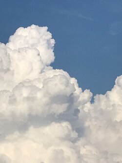 62C220F6-306C-40F6-8BBA-38B75120686D.jpeg 62C220F6-306C-40F6-8BBA-38B75120686D.jpeg