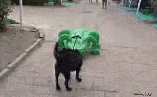 Tumblr_l_18270076200780.gif