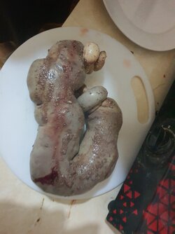 20220323_180556.jpg