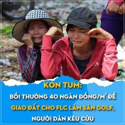 FB_IMG_1648628846930.jpg