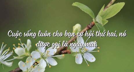 33B0CB2C-BAE9-4450-BA79-73077AF57326.jpeg 33B0CB2C-BAE9-4450-BA79-73077AF57326.jpeg