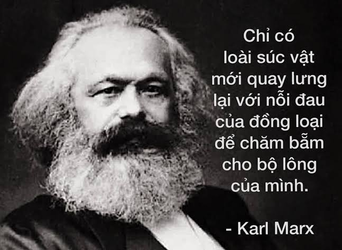 1648746119406.png