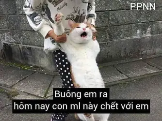 74447 74447