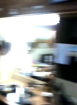 Tumblr_l_16873471886388.gif