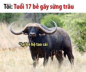1649151325913.jpeg