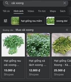 29090A60-4D19-4660-BF53-680D7BB1ABE0.jpeg