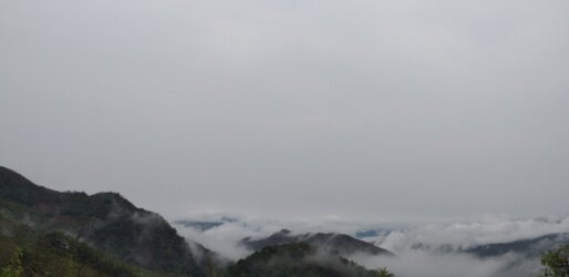 IMG_20210907_083202.jpg