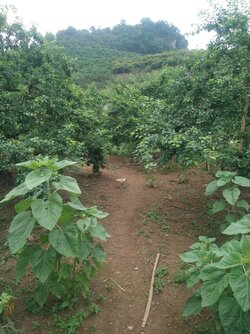 IMG_20210907_083305.jpg