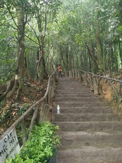 IMG_20210907_083212.jpg