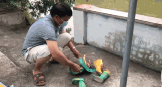 1649645628393.gif 1649645628393.gif