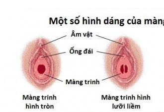 1649731999442.png