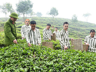 09-07-40_phm_nhn_trong_chew.jpg