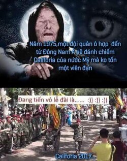 TROLL 3 SOC (17).jpg