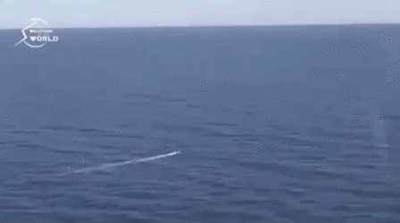 E6AD39F2-6786-4027-A299-663CC86476A1.gif E6AD39F2-6786-4027-A299-663CC86476A1.gif