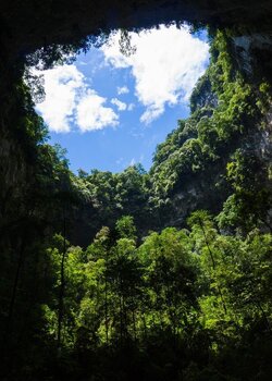 777c9910266831589b5c72d515ccbcaf_resize=1000,1400_.jpg 777c9910266831589b5c72d515ccbcaf_resize=1000,1400_.jpg