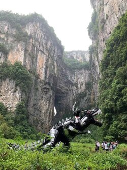 wulong14.jpg