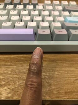 z3345584324528_66d930e032399ab56858dcee3da04f22.jpg