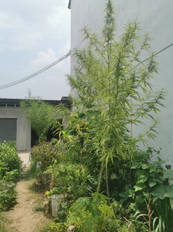 IMG_20220425_115447.jpg